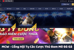 MCW - Cổng Hội Tụ Các Cược Thủ Đam Mê Đá Gà